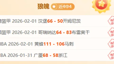 維納爾杜姆：全能足球巨星深度剖析