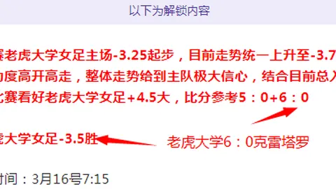 乐高蝙蝠侠开发团队庆幸GTA 6延期，IGN Fan Fes